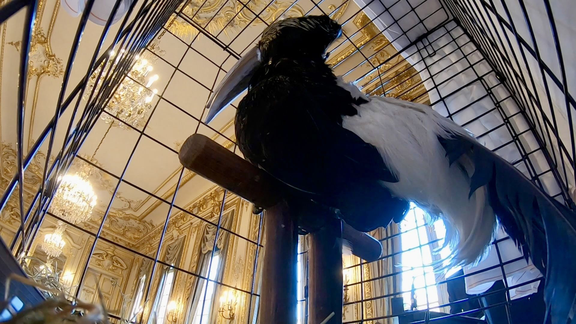 Total Felaket görsel 1